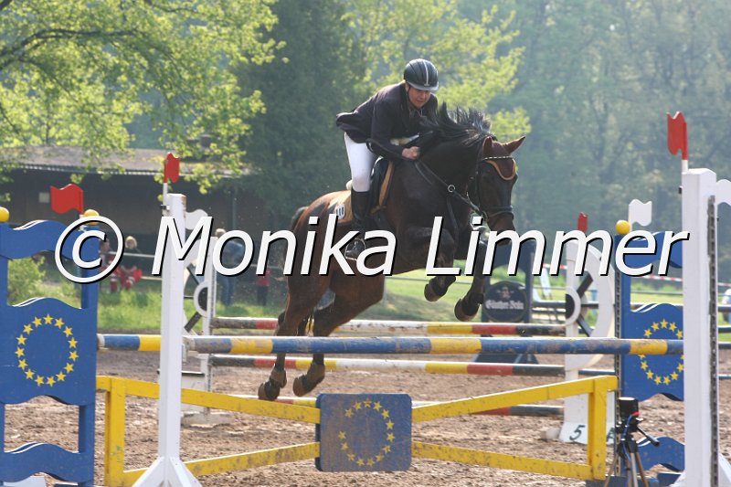 103M2966_Spring A.JPG